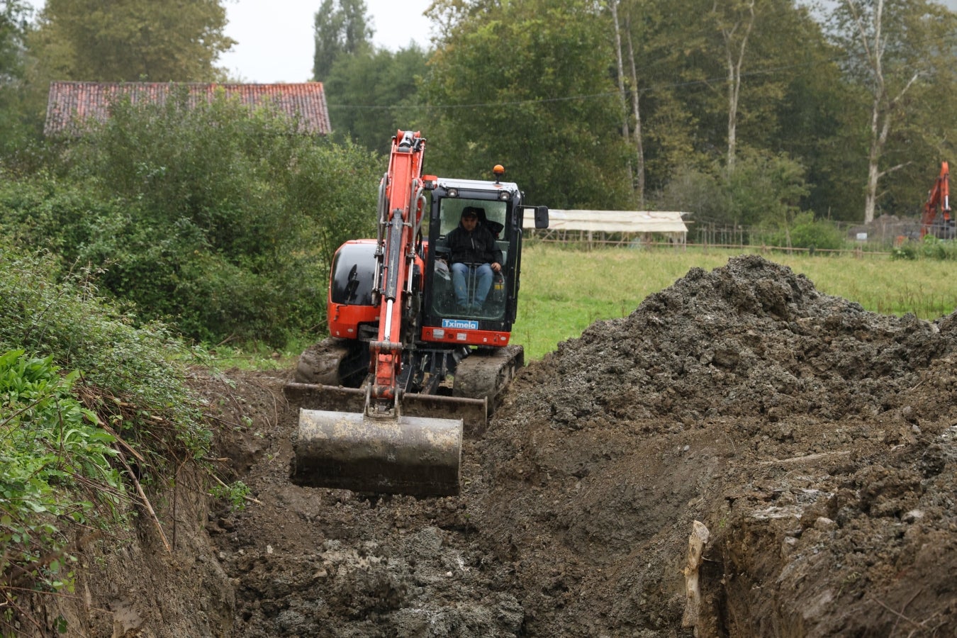 Desentierro del cachalote de Zarautz