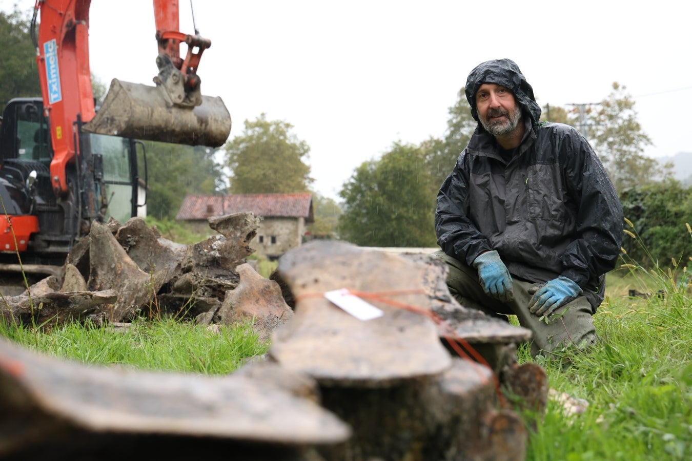 Desentierro del cachalote de Zarautz