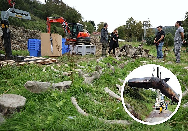 El esqueleto del cachalote este jueves tras ser desenterrado y, en detalle, el momento, hace 12 años cuando se enterró.