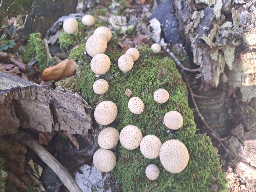 Impresionantes vistas desde la cima Ttuntturre