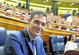 El presidente del Gobierno, Pedro Sánchez.