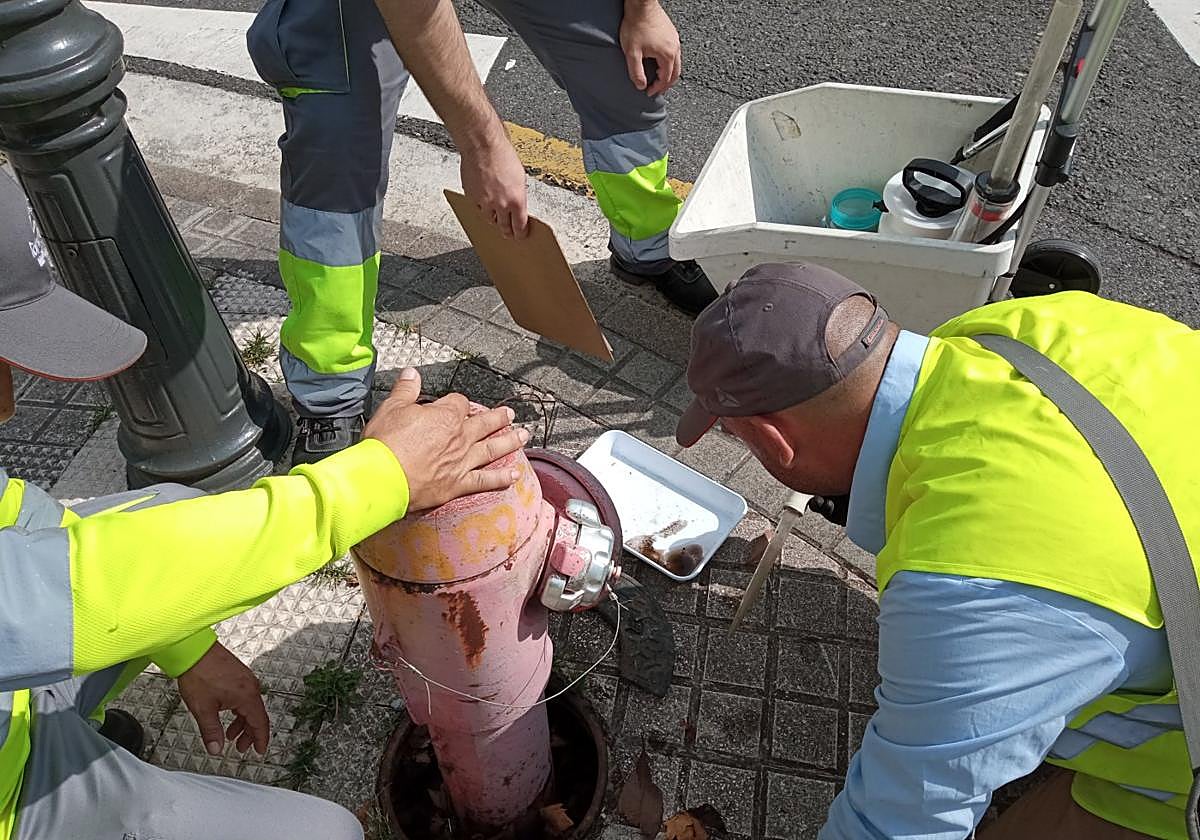 Técnicos realizan un muestreo larvario en focos de mosquito tigre en la vía pública.