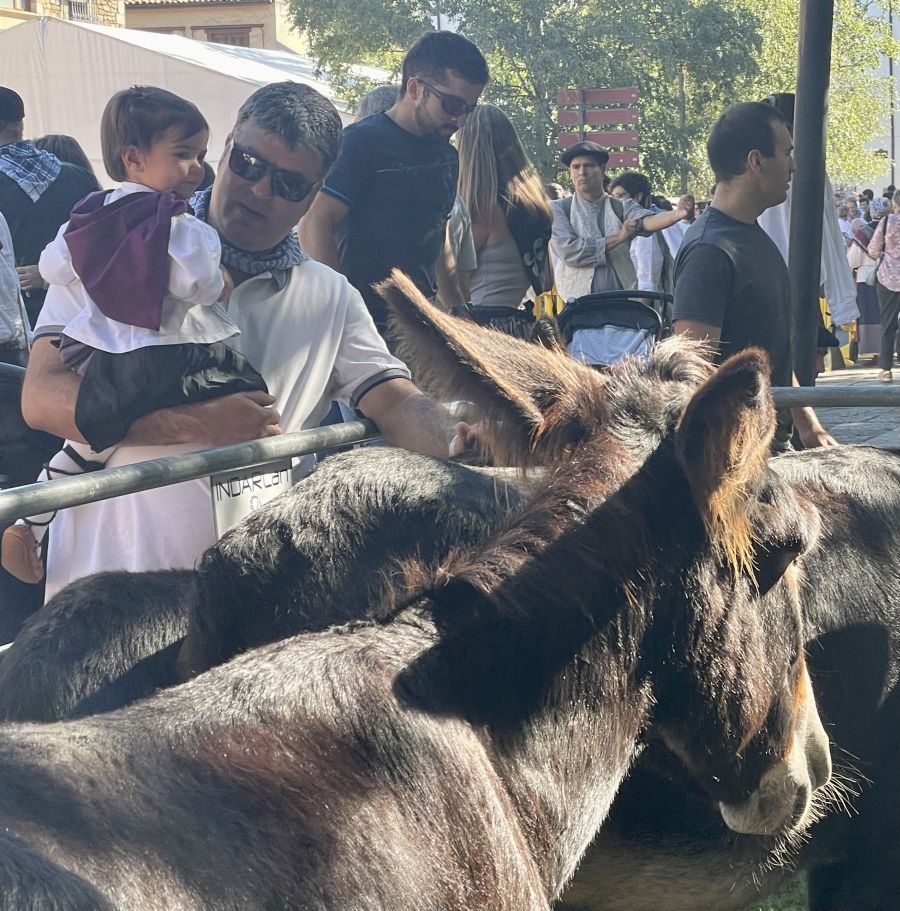 Las cuadrillas y familias viven un animado Herri Eguna