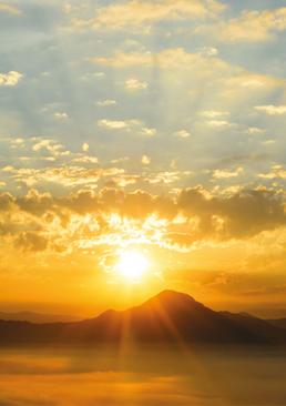Imagen - 