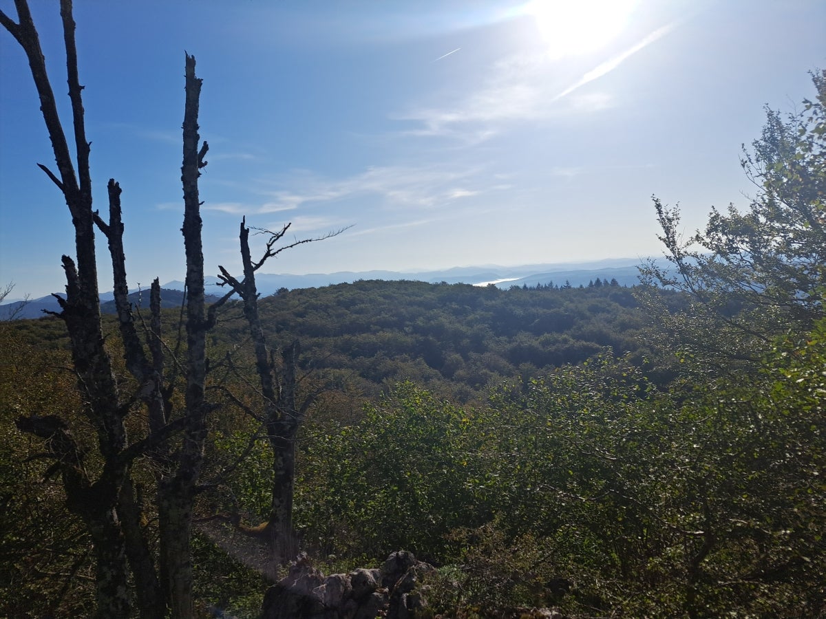 Descubriendo Aiztondo