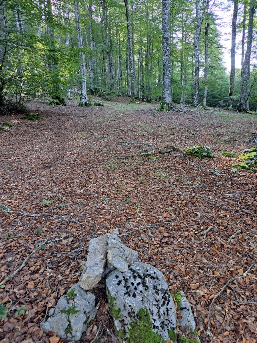 Descubriendo Aiztondo