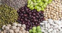 Algunas legumbres y verduras