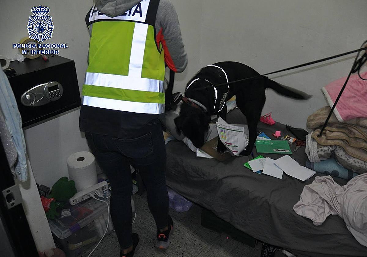 Un agente de la Policía Nacional rastrea con la ayuda de un perro la habitación de una de las víctimas