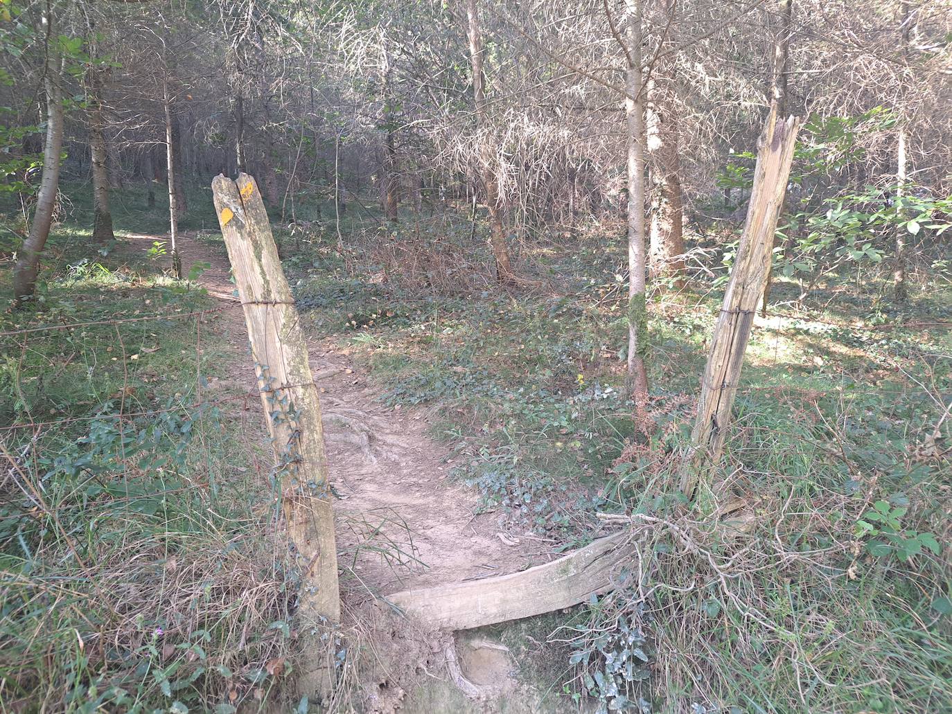 Uzturre, la cima de Tolosaldea