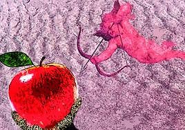 ¿Una sociología de las emociones?