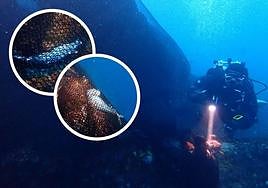 Un buceador comprueba el estado de la 'red fantasma' en las cercanías de Punta Turrulla.