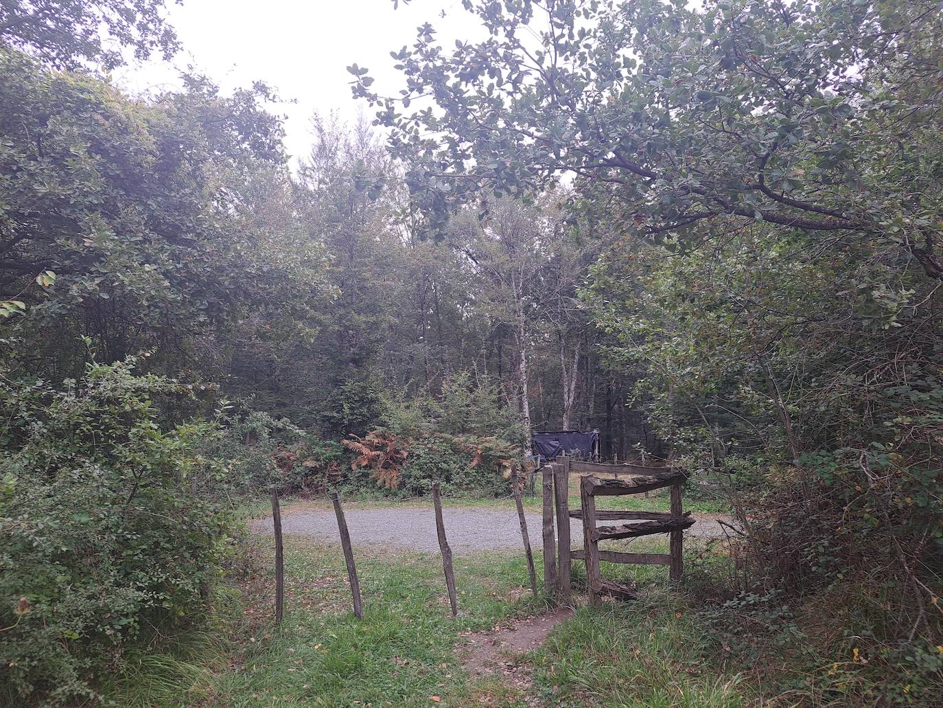 Arraldegaña, una cima oculta por robles centenarios en Navarra