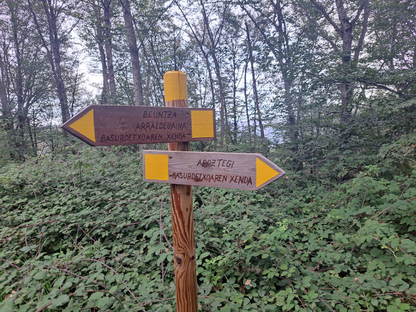 Arraldegaña, una cima oculta por robles centenarios en Navarra