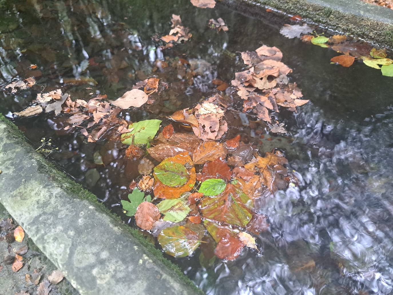 Arraldegaña, una cima oculta por robles centenarios en Navarra