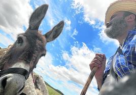 El burro Paolo y el cineasta Oskar, haciendo camino al andar.