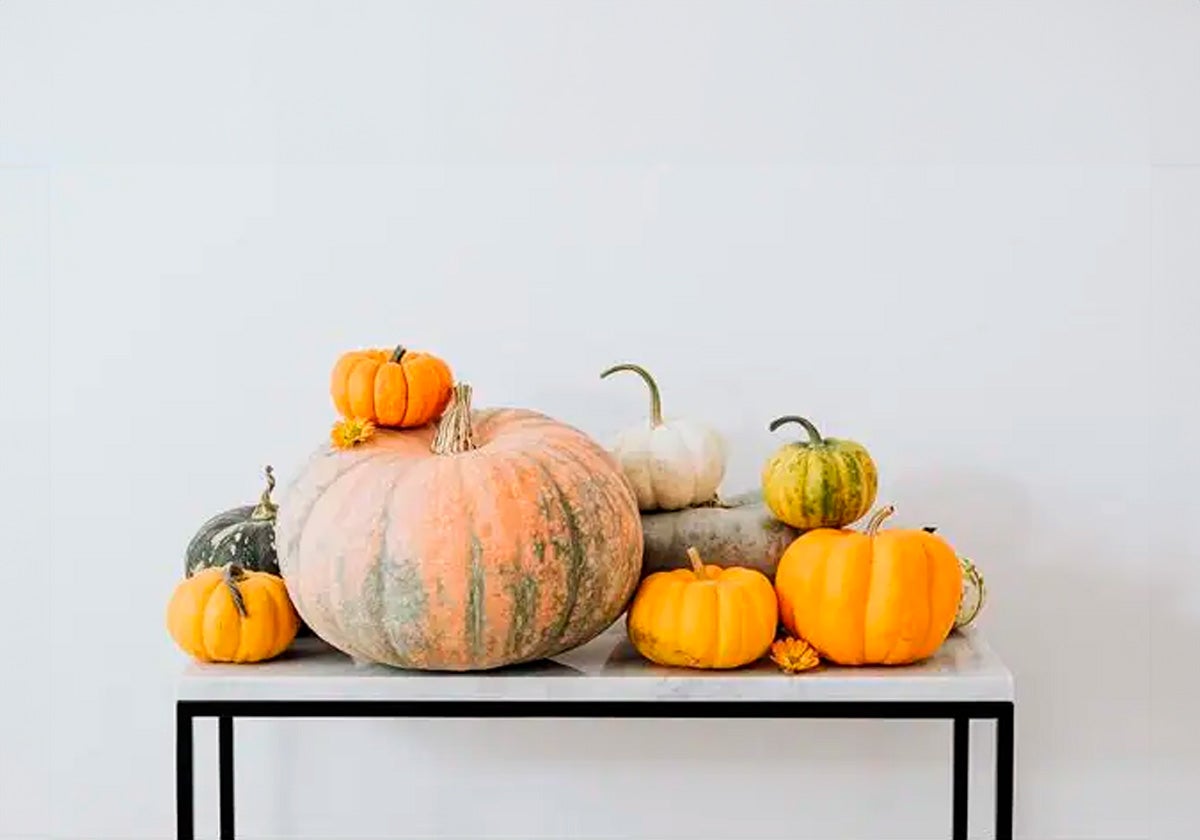 Diferentes variedades de calabaza.