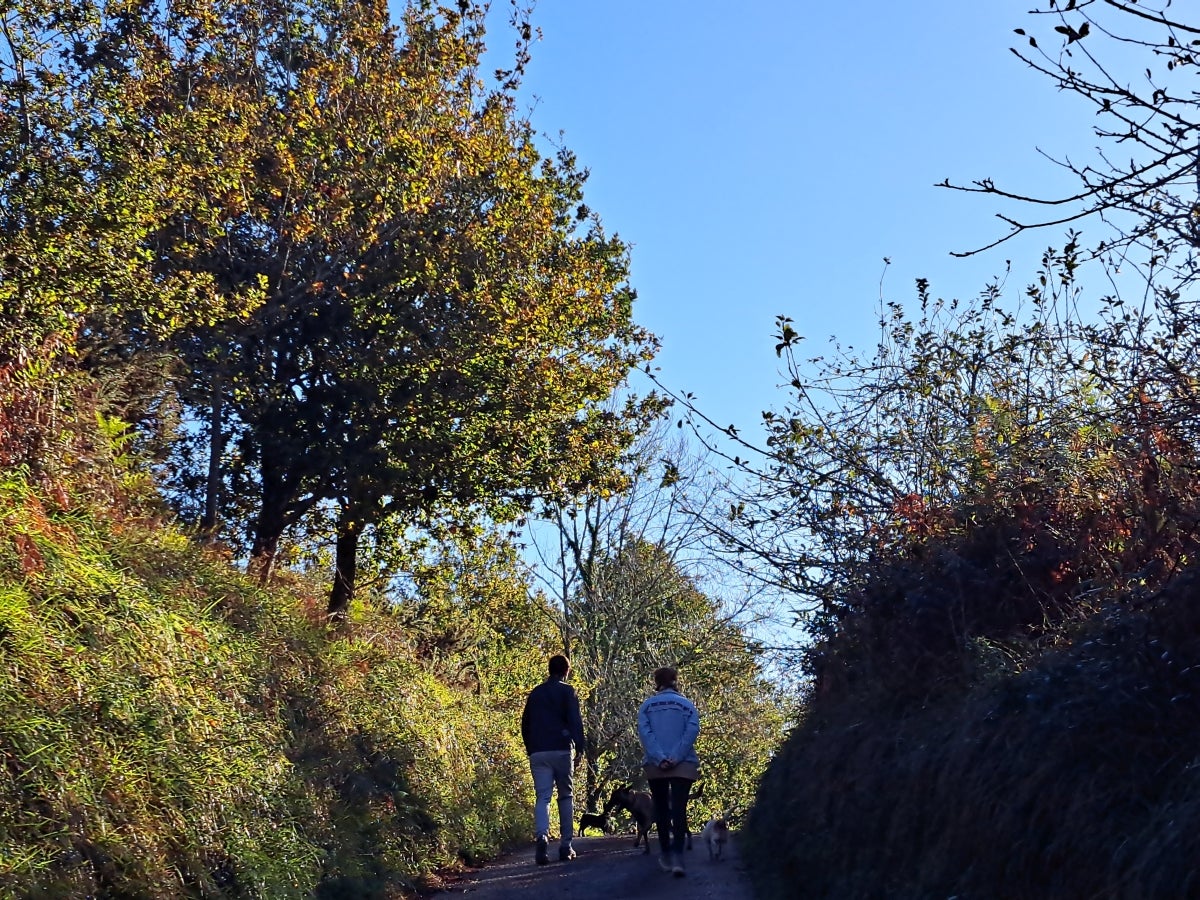 La ruta hasta Igoin, en imágenes