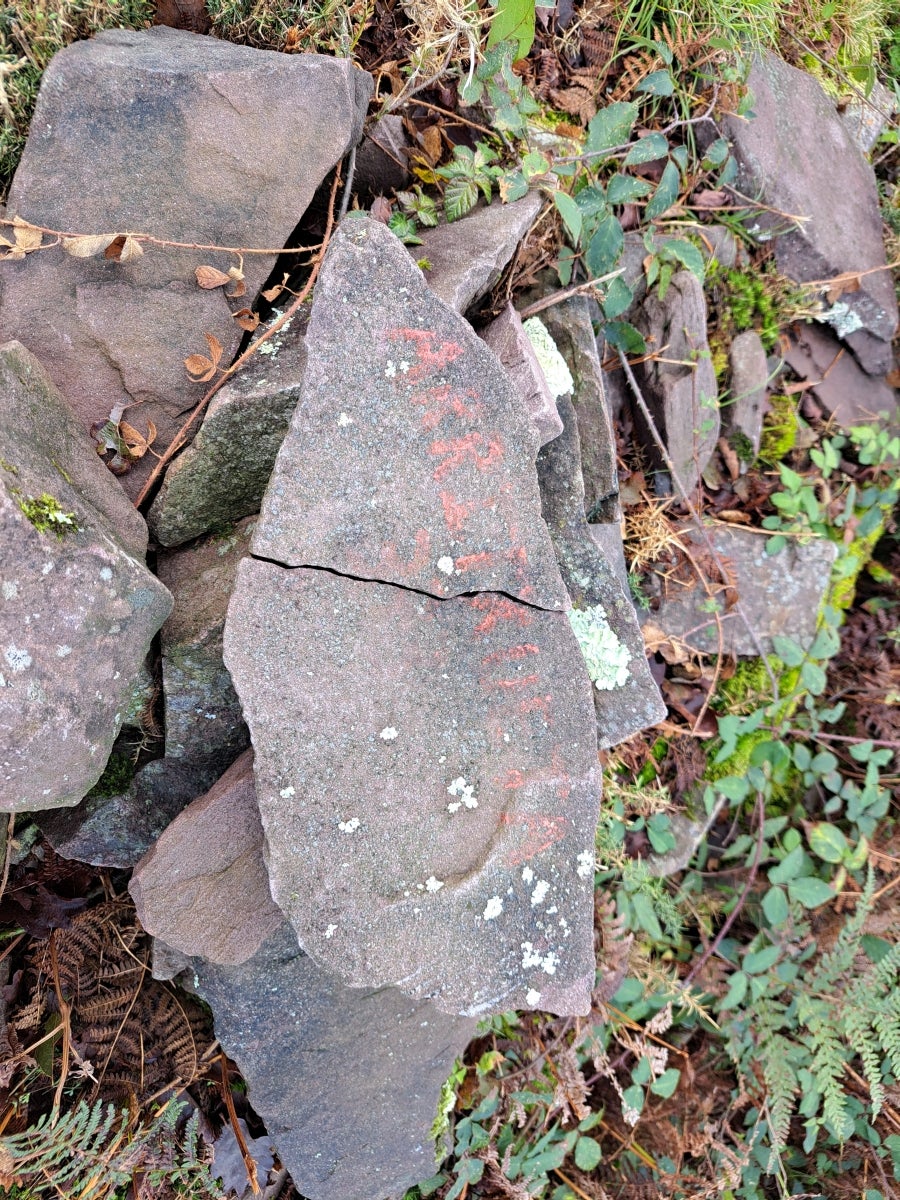 La ruta hasta Igoin, en imágenes