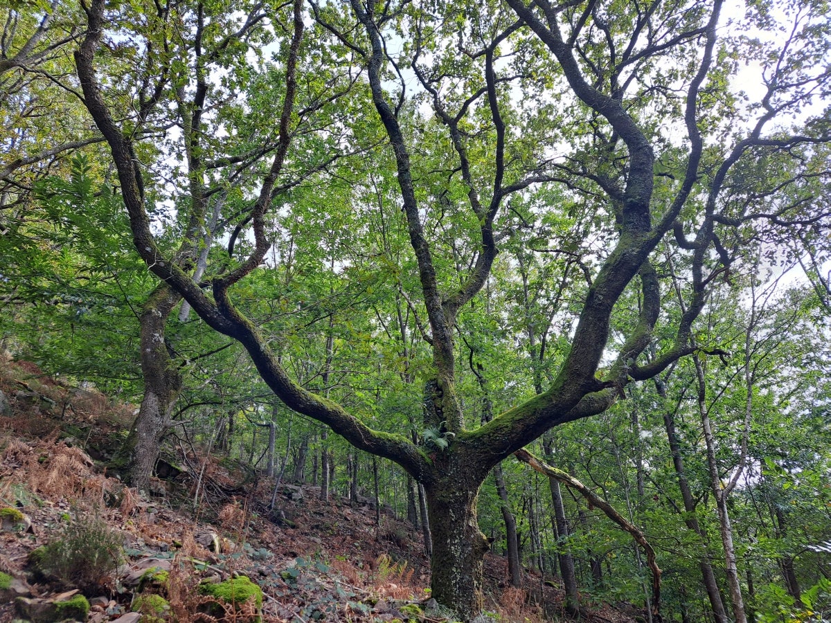 La ruta hasta Igoin, en imágenes
