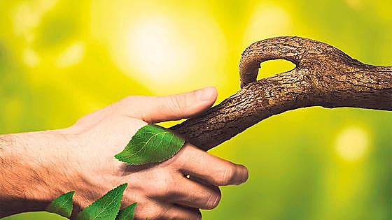Emergencia climática: la naturaleza es nuestra mayor aliada
