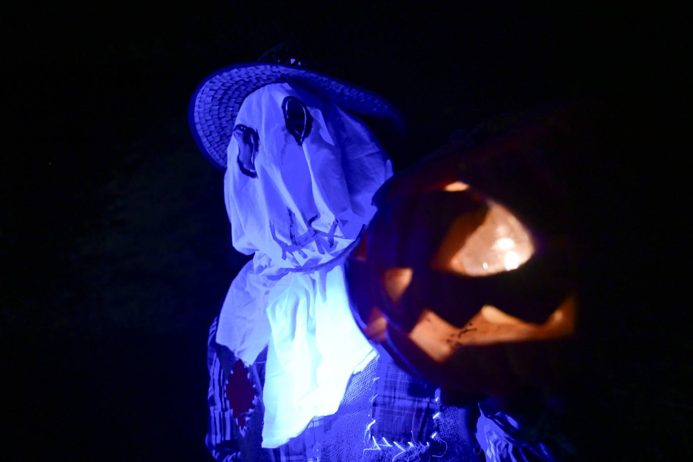 Las mejores fotos de Gau Beltza en Gipuzkoa