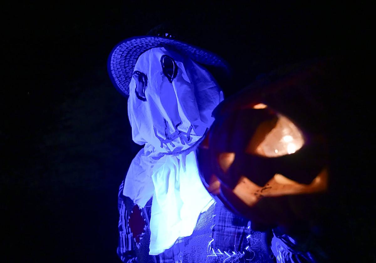 Las mejores fotos de Gau Beltza en Gipuzkoa