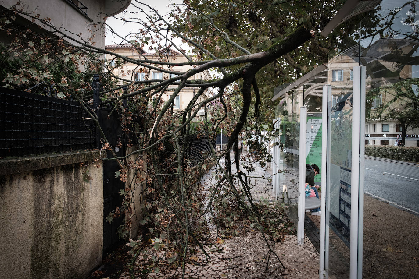 La huella de la borrasca Ciarán en Gipuzkoa