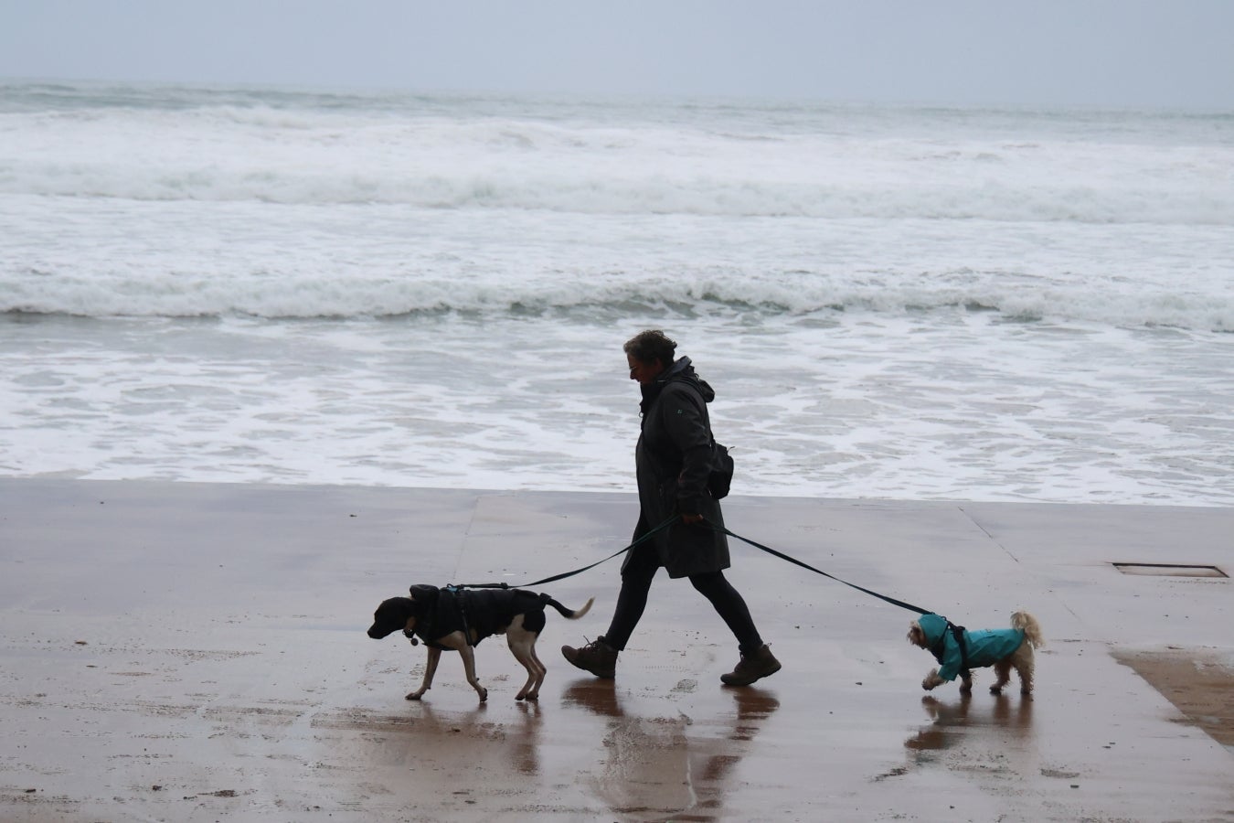 La huella de la borrasca Ciarán en Gipuzkoa