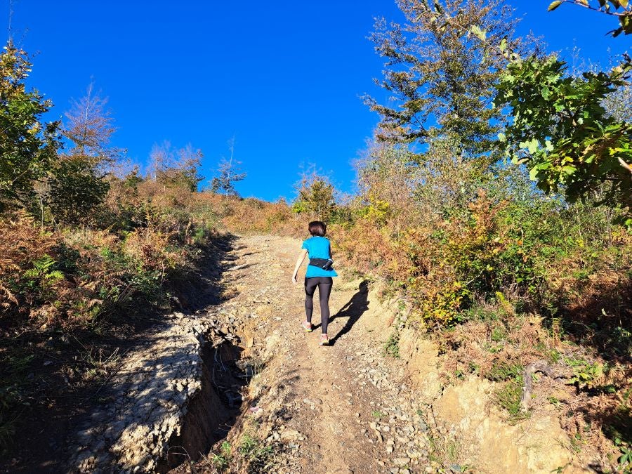 Gorostiaga: un bonito paseo por los montes de Legazpi