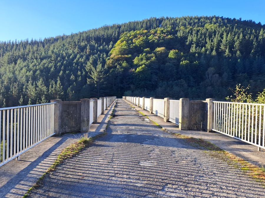 Gorostiaga: un bonito paseo por los montes de Legazpi