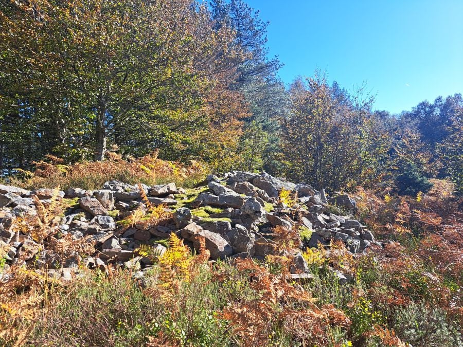 Gorostiaga: un bonito paseo por los montes de Legazpi