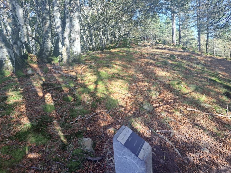 Gorostiaga: un bonito paseo por los montes de Legazpi