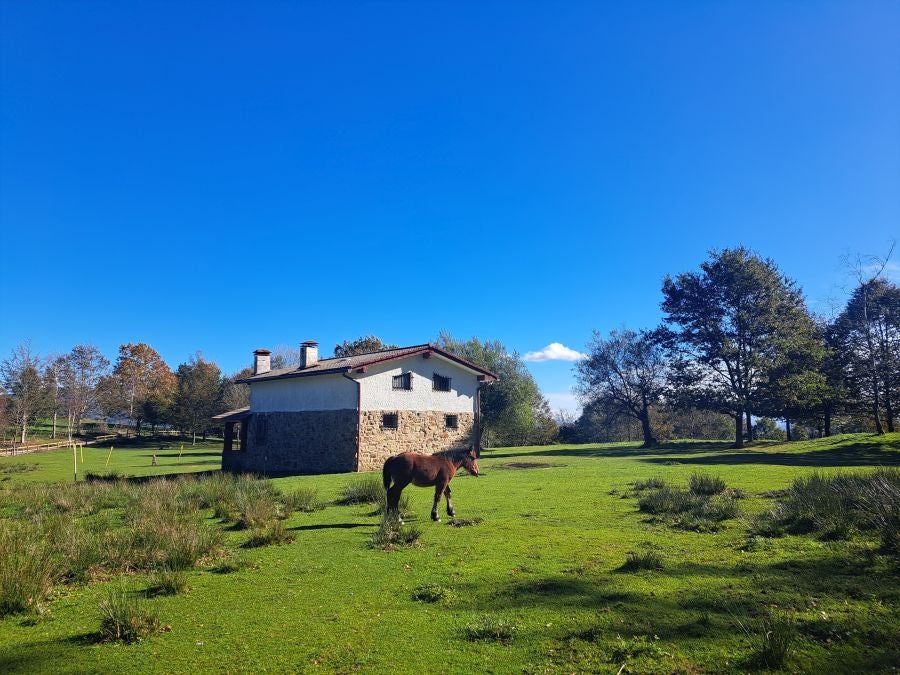 Gorostiaga: un bonito paseo por los montes de Legazpi
