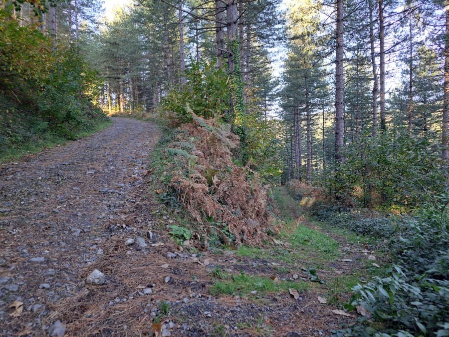 Gorostiaga: un bonito paseo por los montes de Legazpi
