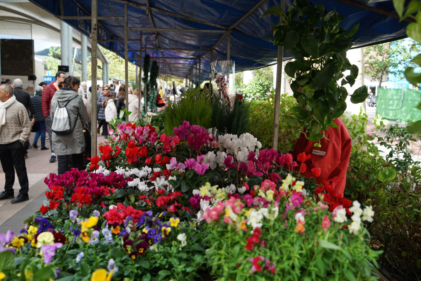 Beasain disfruta de la morcilla