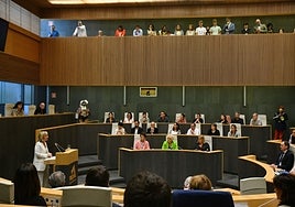 La propuesta del PP ha sido tumbado con 48 votos en contra y tan solo 3 a favor.