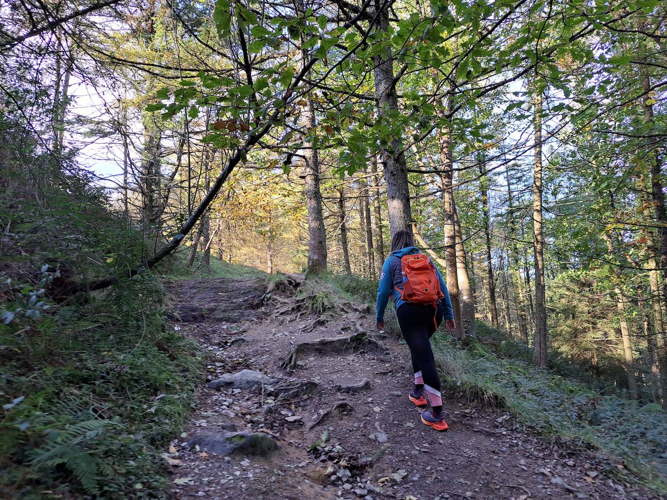 Las mejores imágenes de la excursión a Gazume