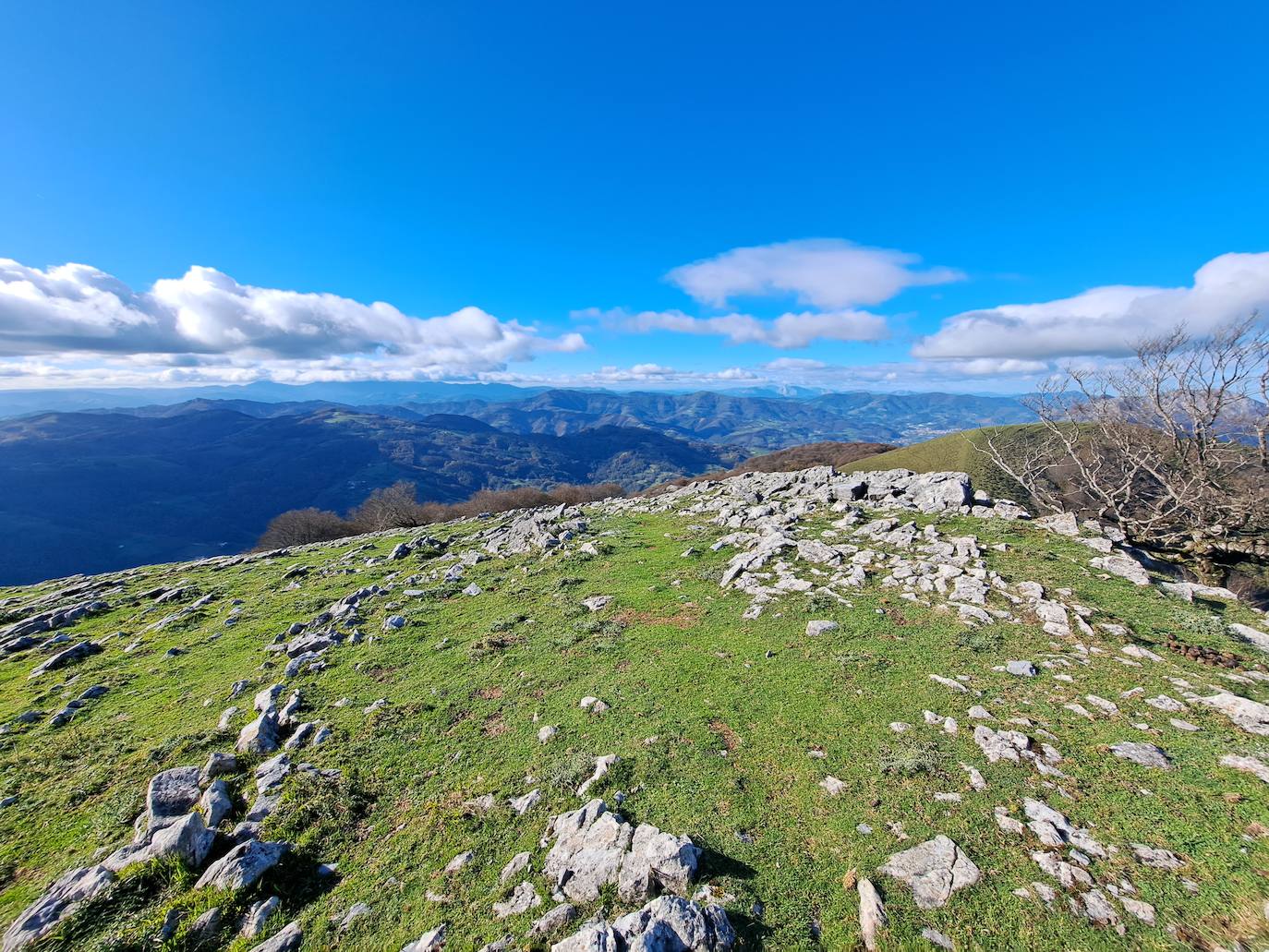 Las mejores imágenes de la excursión a Gazume