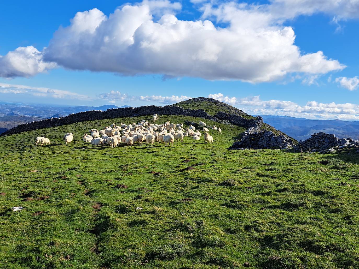 Las mejores imágenes de la excursión a Gazume