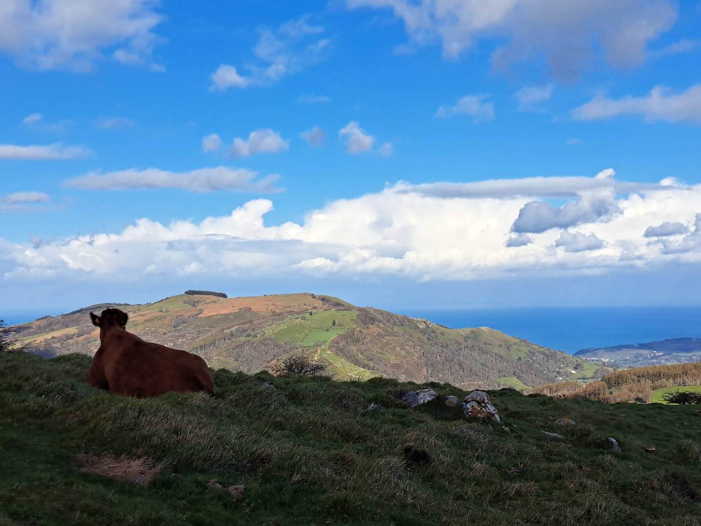 Las mejores imágenes de la excursión a Gazume