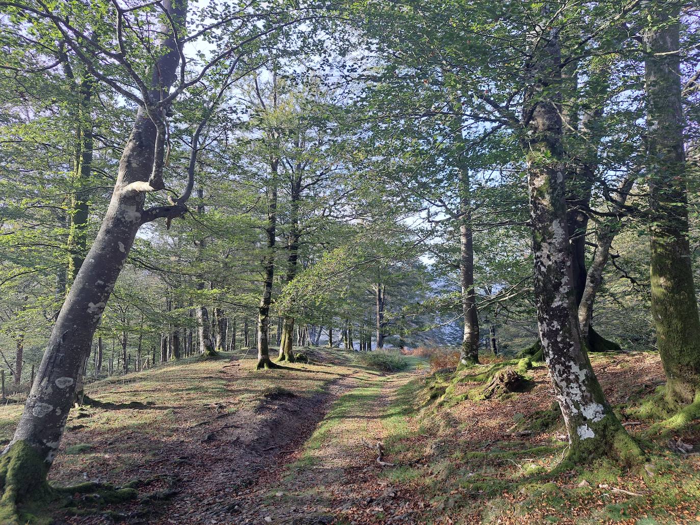 Urepel, el monte silencioso