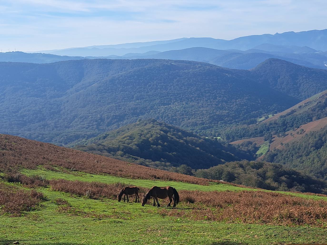 Urepel, el monte silencioso