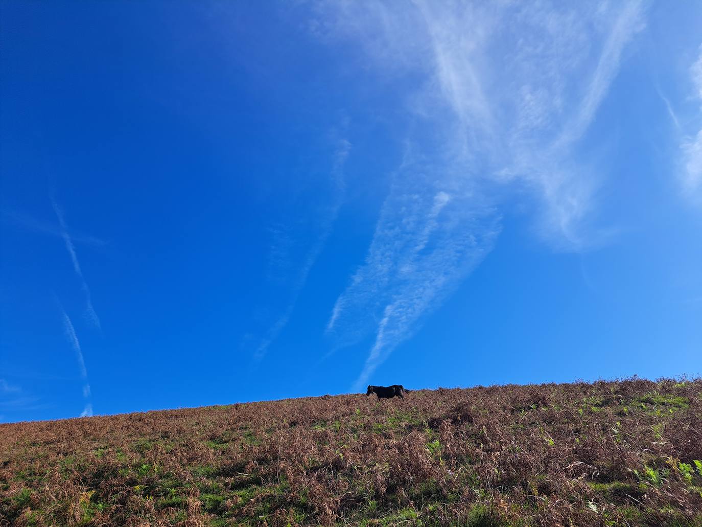 Urepel, el monte silencioso