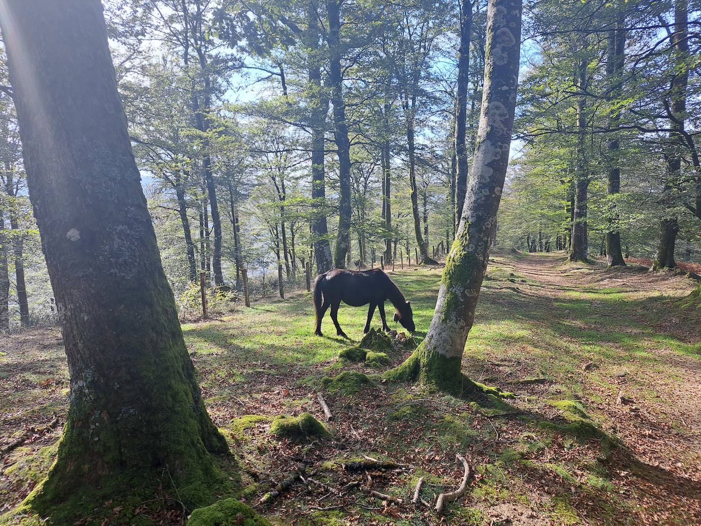 Urepel, el monte silencioso