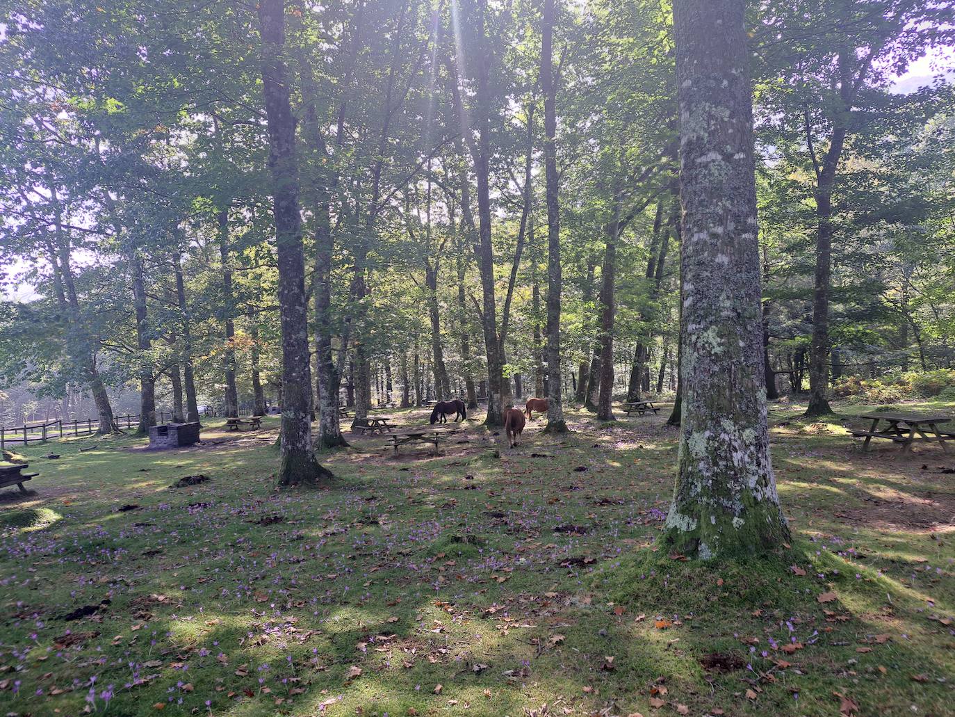 Urepel, el monte silencioso