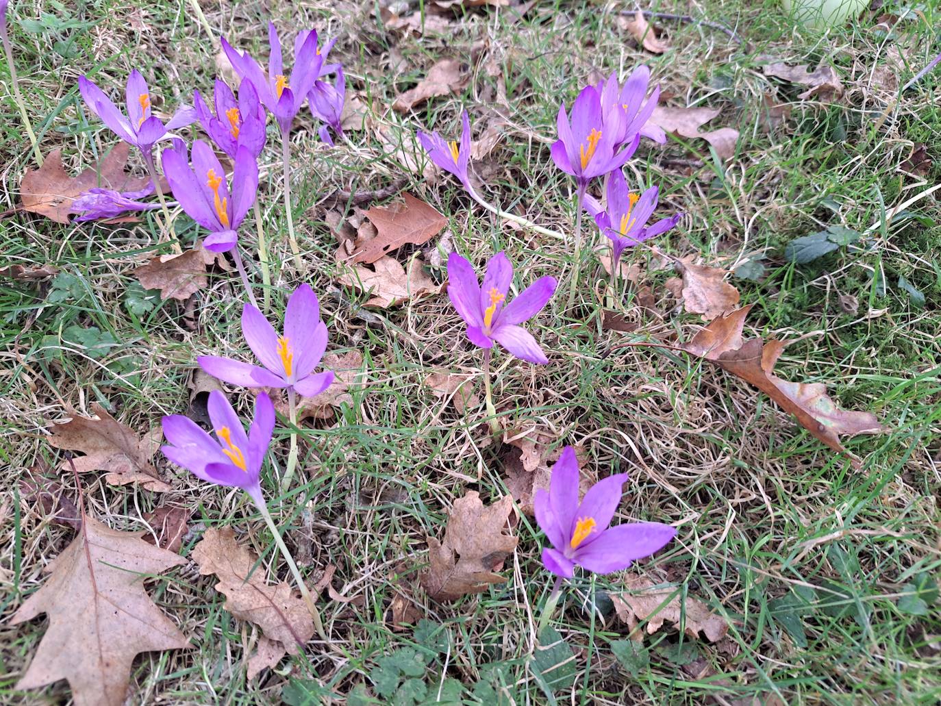 Urepel, el monte silencioso
