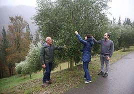 La familia Etxagibel-Altuna es la única productora de aceite de oliva en Gipuzkoa, en un momento de plena crisis con el precio de este oro líquido por las nubes.