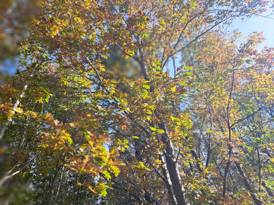 Desde Urnieta a Buruntza