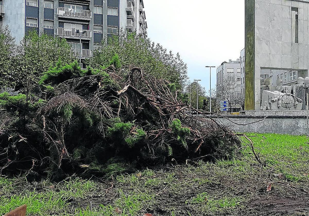 Cambios en al rotonda de la plaza de Irun.