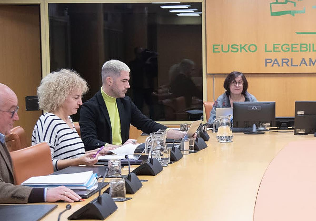 El portavoz de Educación de EH Bildu, Ikoitz Arrese, en el centro en la comisión celebrada este lunes en el Parlamento Vasco.